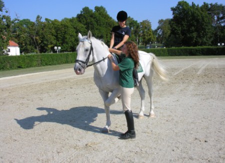scuola di equitazione dell'Equile di Lipica 