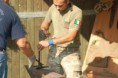 /album/centro-militare-veterinario-grosseto/dsc-8165-jpg/