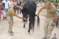 /album/centro-militare-veterinario-grosseto/dsc-8495-jpg/